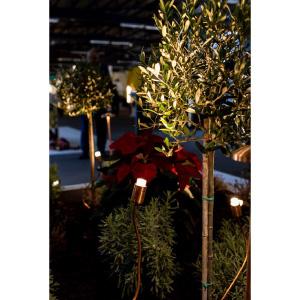 Metallic bronze light in plants